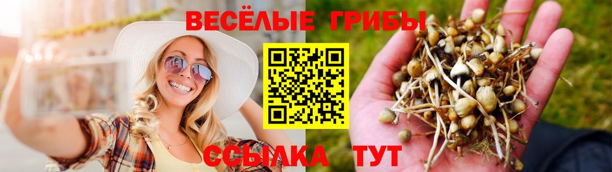 Псилоцибиновые грибы прущие грибы  Вход с VPN  Верхняя Пышма 